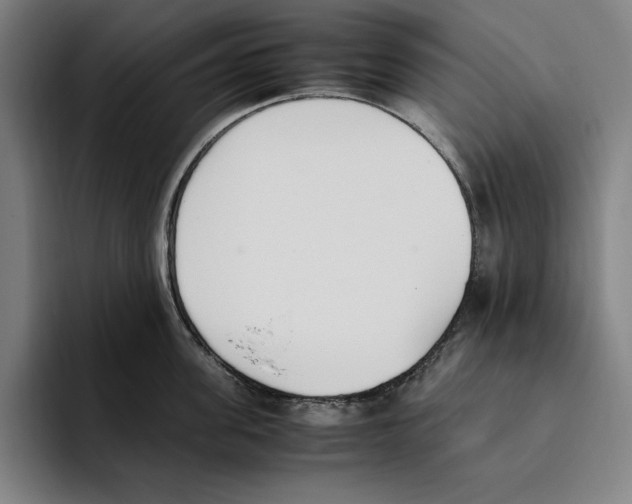 X0000093390955200711081603