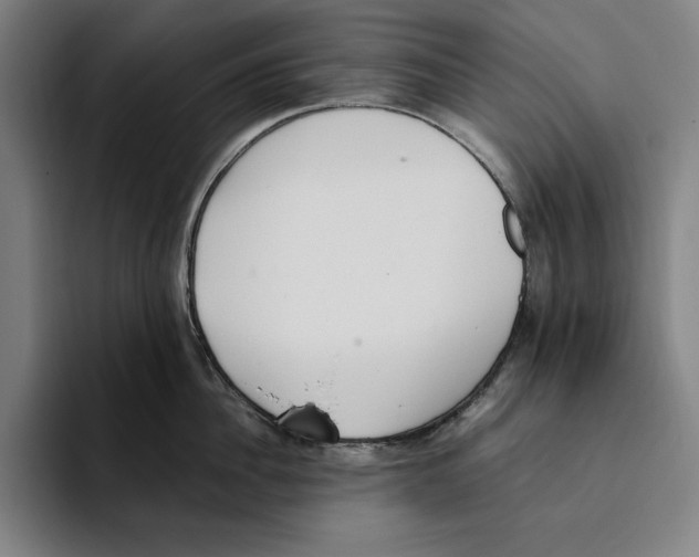 X0000093390956200711081603