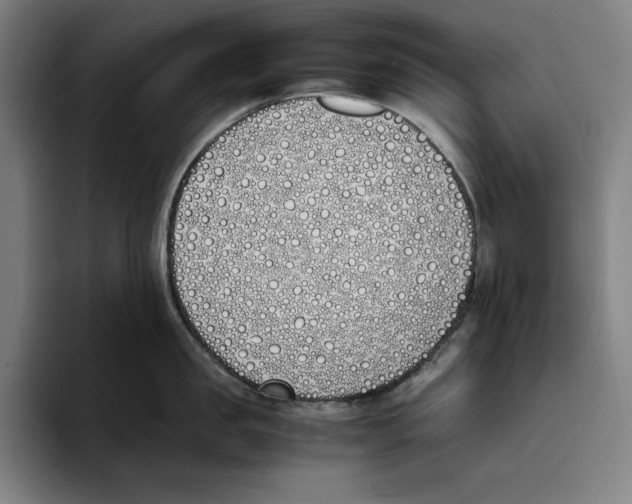 X0000093390957200711081603