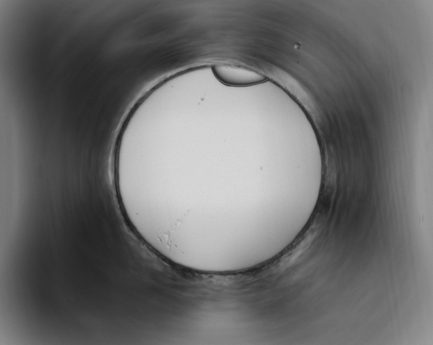 X0000093390958200711081603