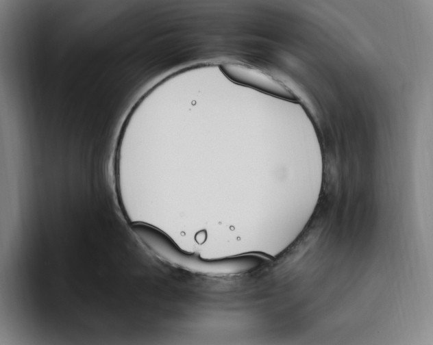 X0000093390959200711081603