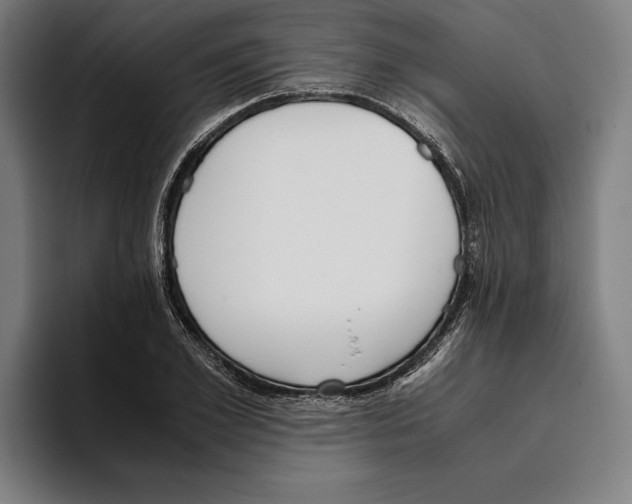 X0000093390981200711081602