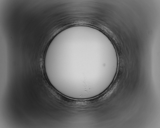 X0000093390985200711081602