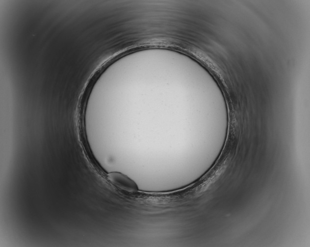 X0000093390989200711081602