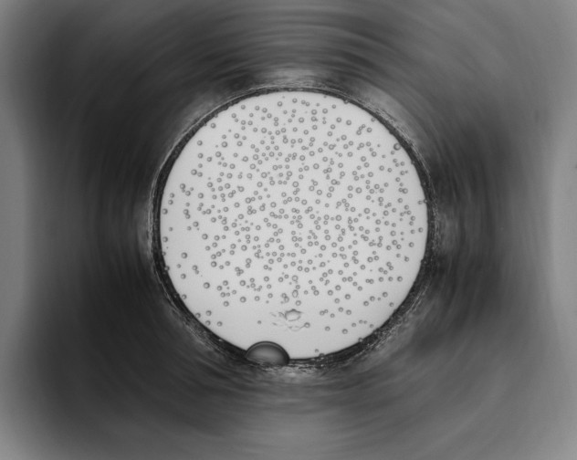 X0000093390994200711081602