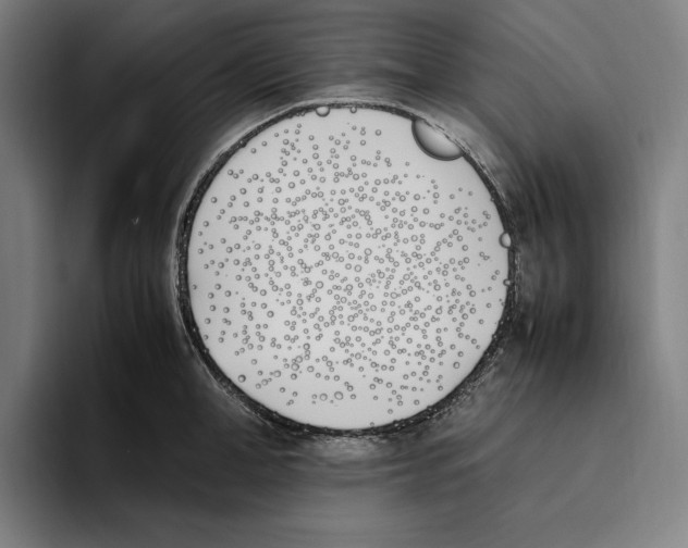 X0000093390998200711081602