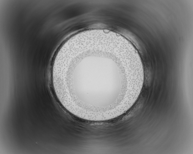 X0000093391000200711081602