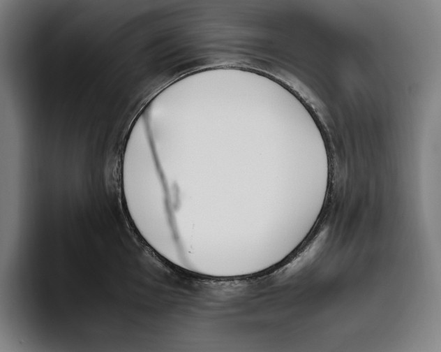 X0000093391001200711081602