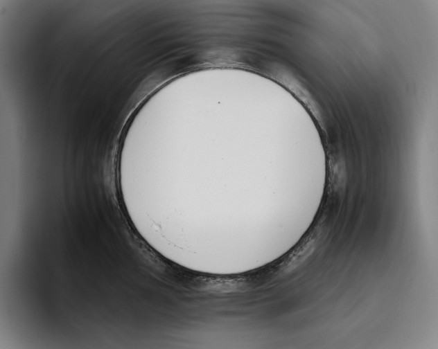X0000093391002200711081602
