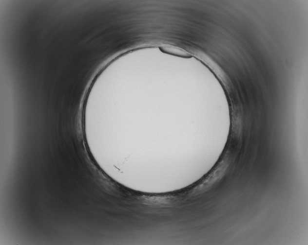 X0000093391004200711081602