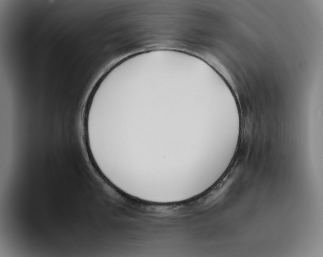 X0000093391005200711081602