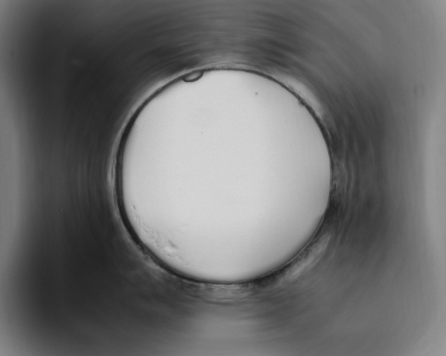 X0000093391007200711081602