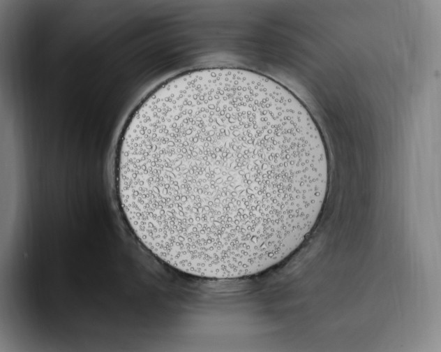 X0000093391008200711081602