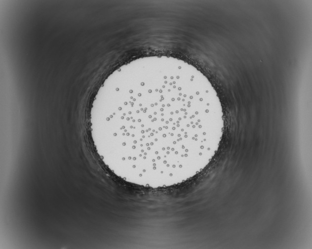 X0000093391009200711081601