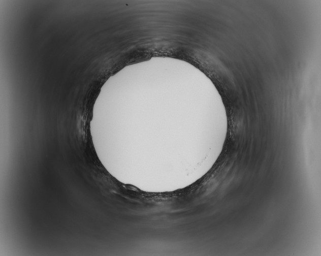 X0000093391010200711081601