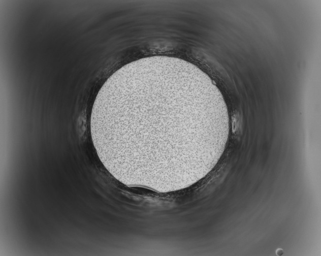 X0000093391011200711081601