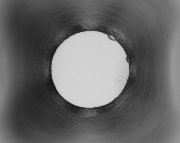 X0000093391012200711081601
