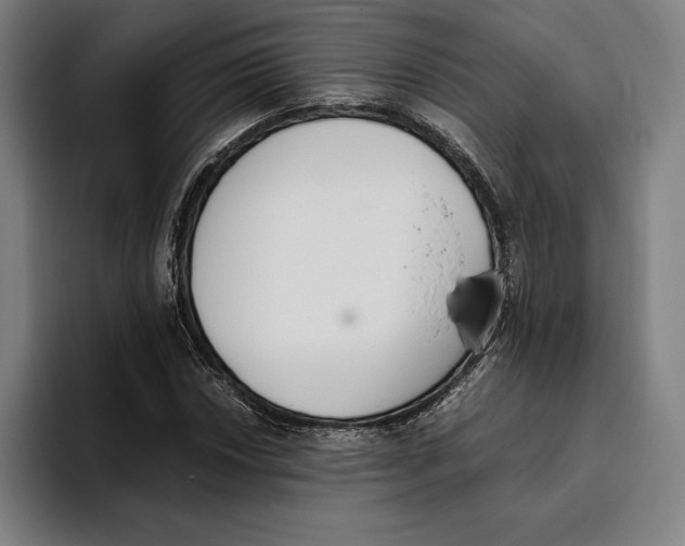 X0000093391018200711081601