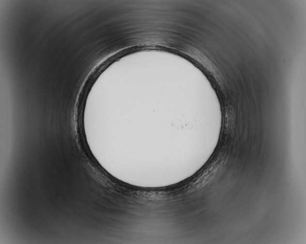 X0000093391020200711081601