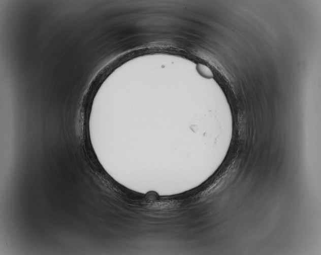 X0000093391021200711081601