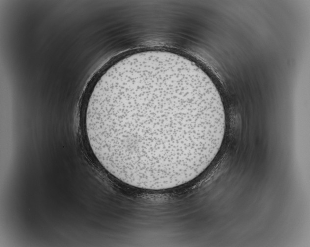 X0000093391023200711081601