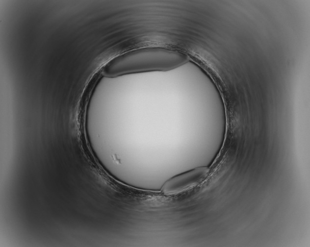 X0000093391026200711081601