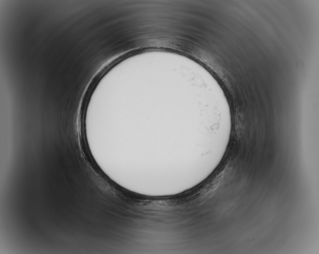 X0000093391028200711081601