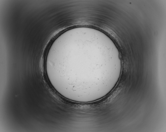 X0000093391030200711081601