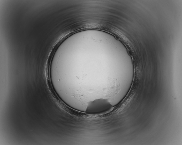 X0000093391034200711081601