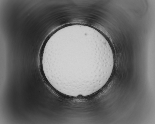 X0000093391037200711081601