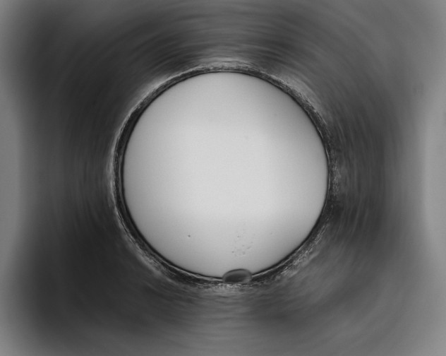 X0000093391038200711081601