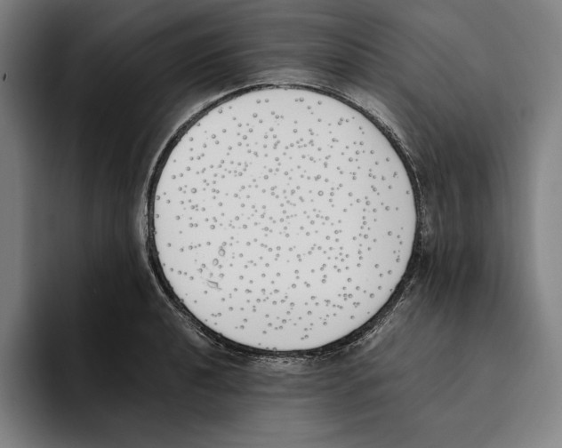 X0000093391040200711081601