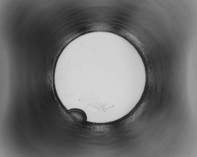 X0000093391041200711081601