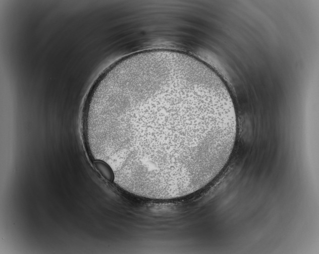 X0000093391043200711081601