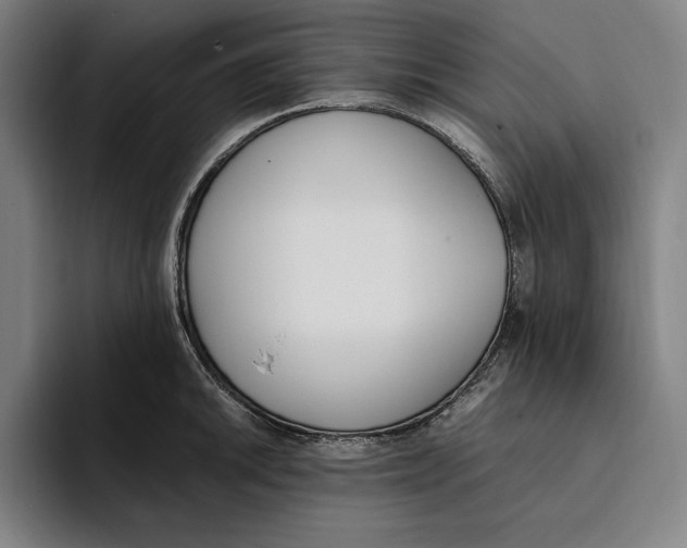 X0000093391046200711081602