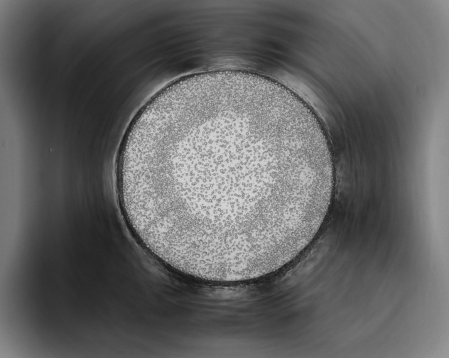 X0000093391047200711081602