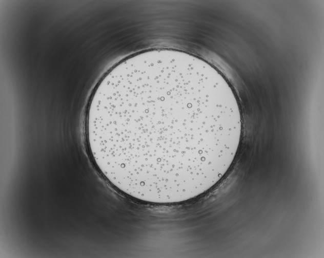 X0000093391048200711081602