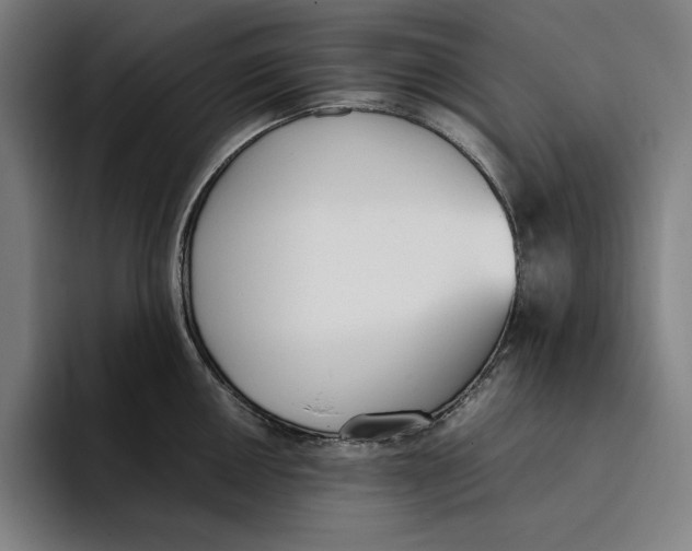 X0000093391050200711081602