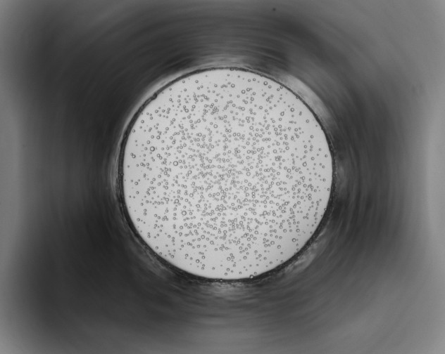 X0000093391052200711081602
