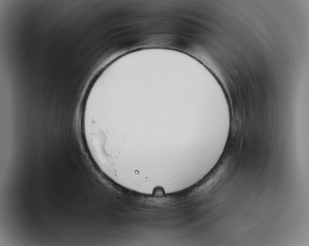 X0000093391053200711081602