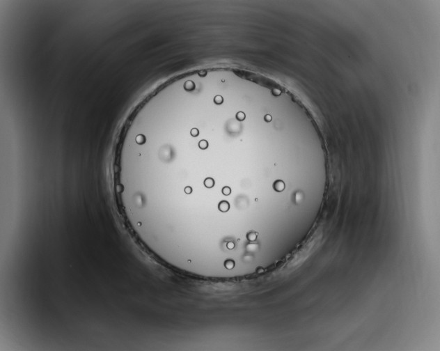 X0000093391054200711081602