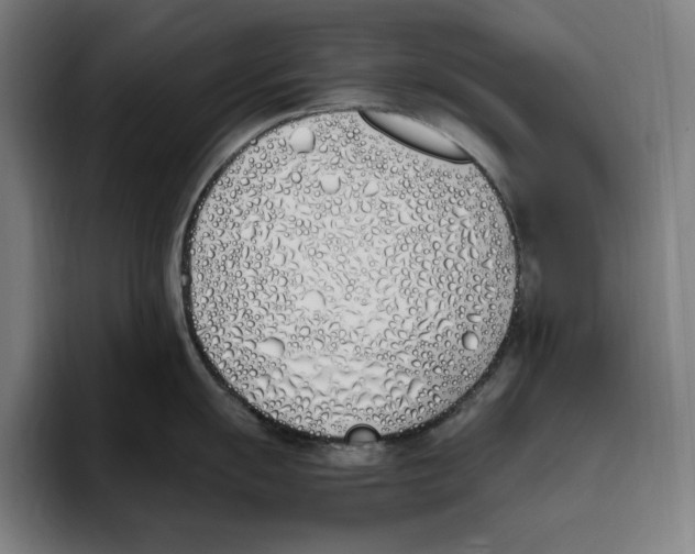 X0000093391055200711081602