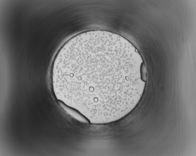 X0000093391056200711081602
