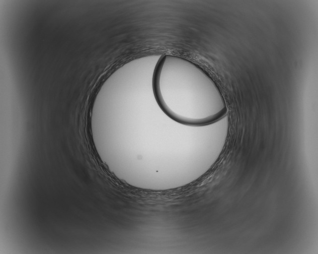 X0000093391057200711081601