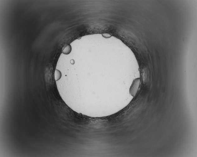 X0000093391059200711081601