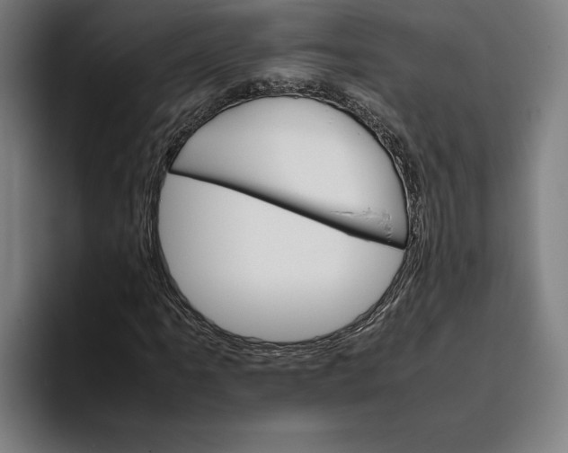 X0000093391061200711081601