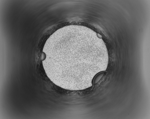 X0000093391063200711081601