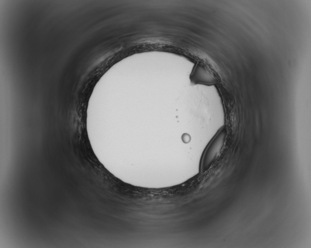 X0000093391064200711081601