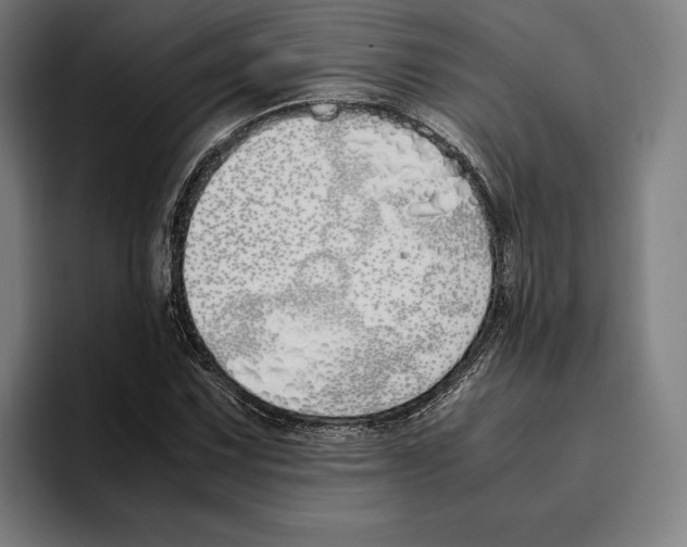 X0000093391067200711081601