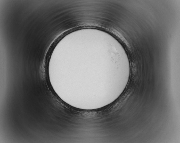 X0000093391068200711081601